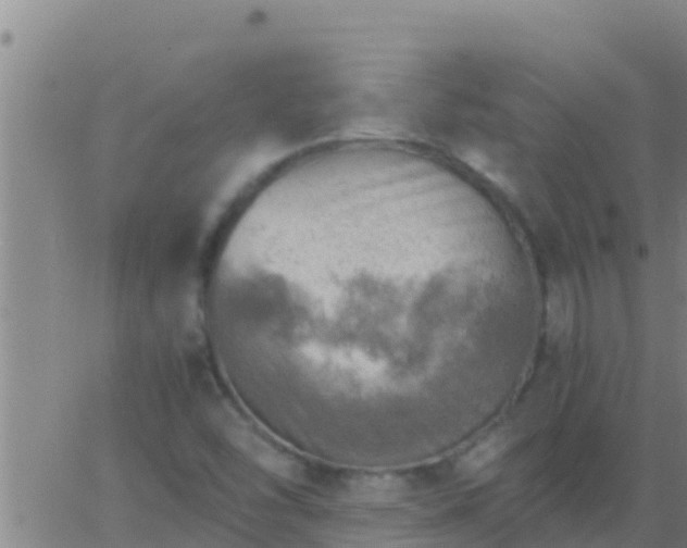 X0000063531454200601271849