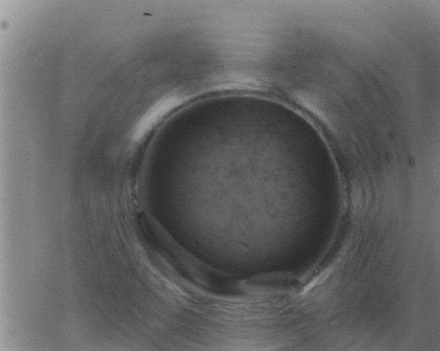 X0000063531455200601271849