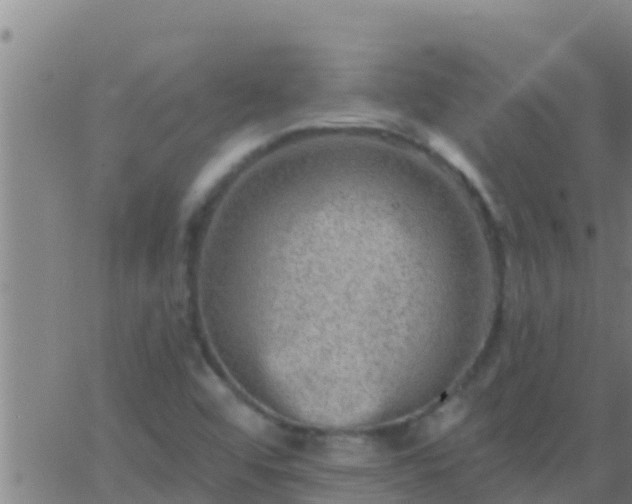 X0000063531456200601271849