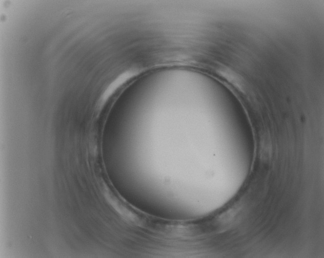 X0000063531458200601271849