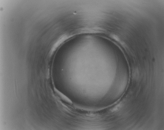 X0000063531459200601271849