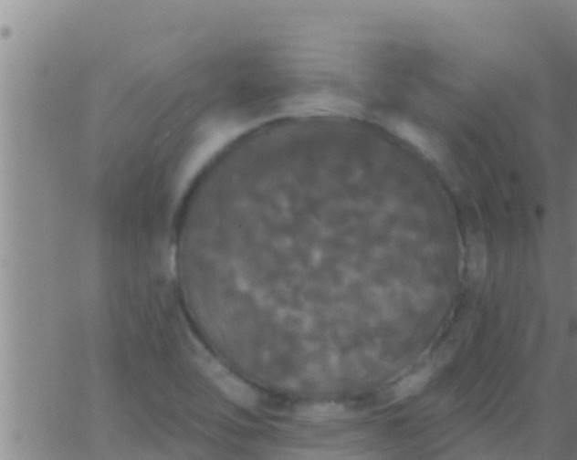 X0000063531462200601271849