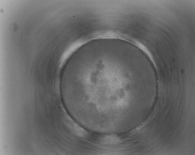 X0000063531464200601271849