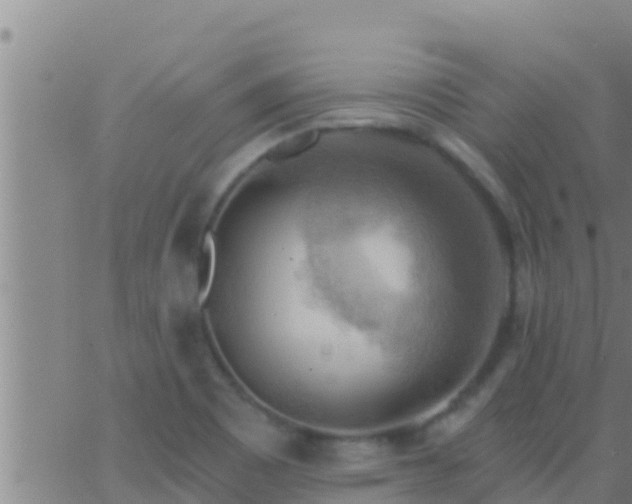 X0000063531465200601271849