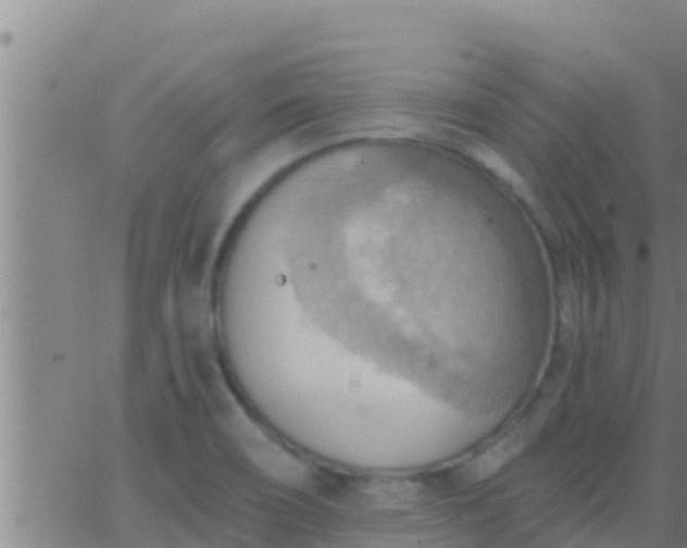 X0000063531466200601271849