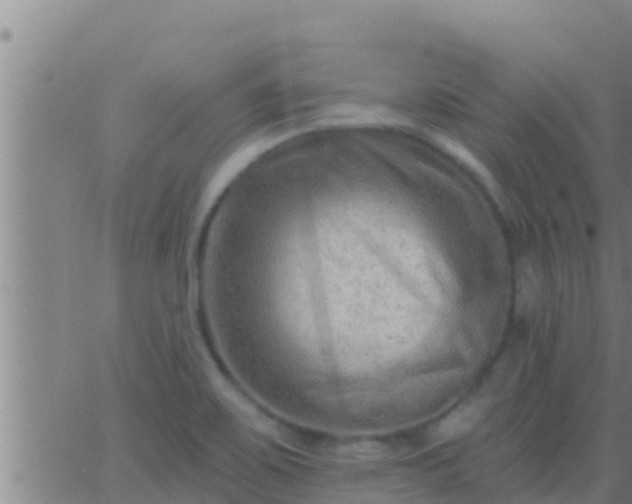 X0000063531467200601271849