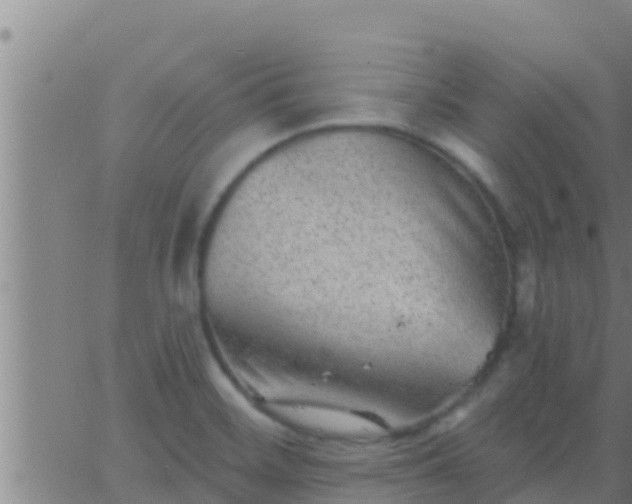 X0000063531468200601271849