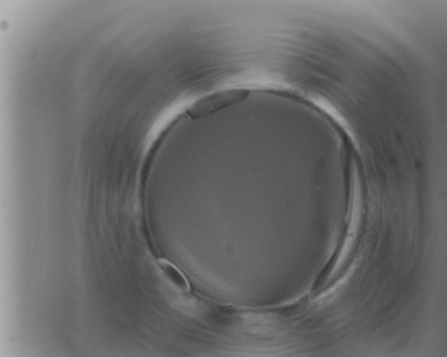 X0000063531469200601271849