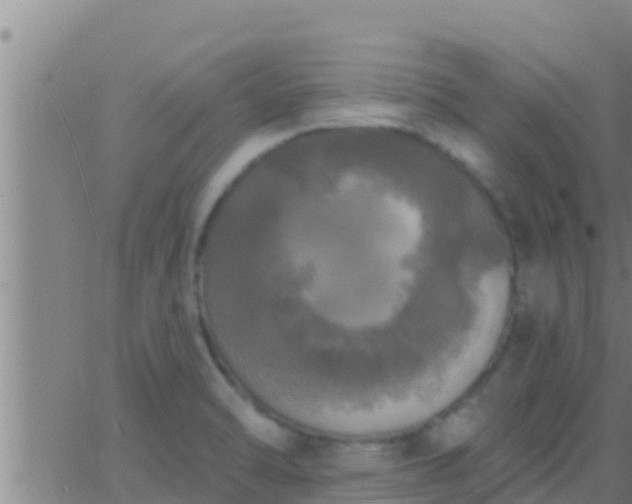 X0000063531470200601271849