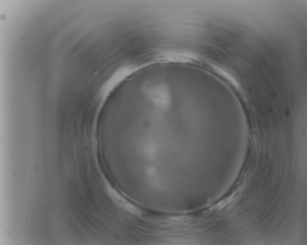 X0000063531471200601271849