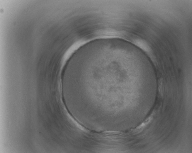 X0000063531472200601271849