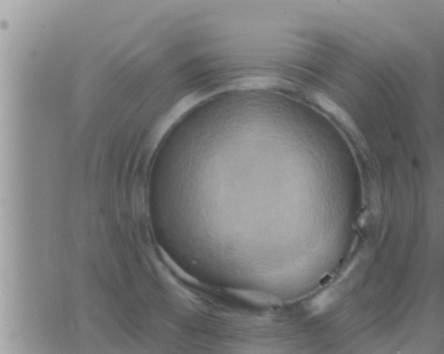 X0000063531473200601271849