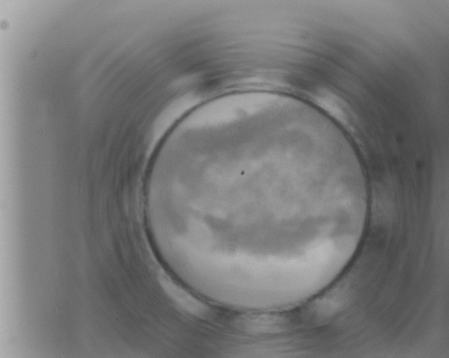 X0000063531474200601271849