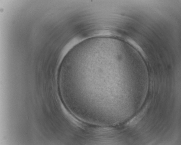 X0000063531475200601271849