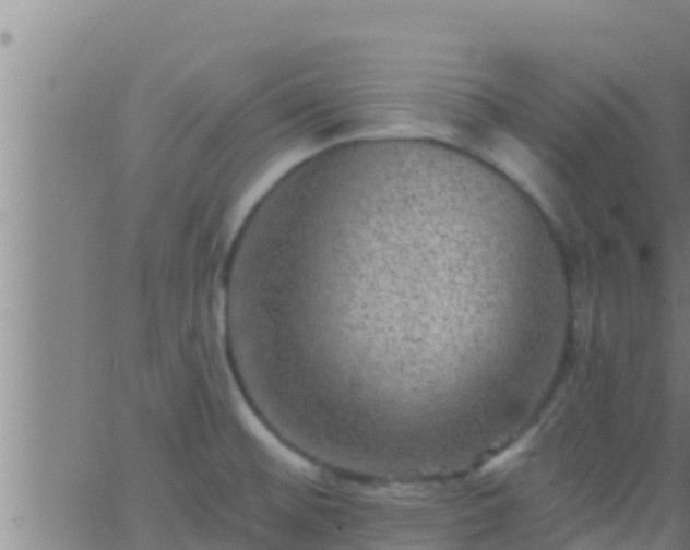 X0000063531476200601271849