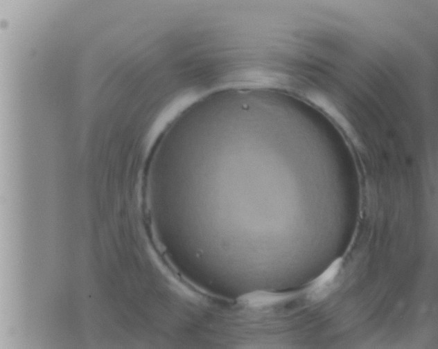 X0000063531477200601271848