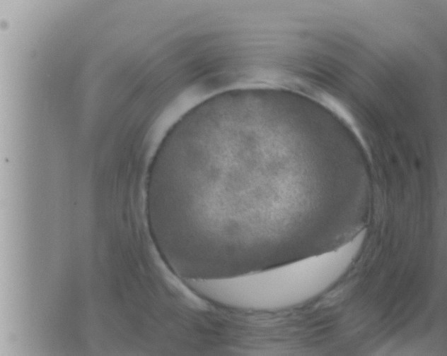 X0000063531480200601271848