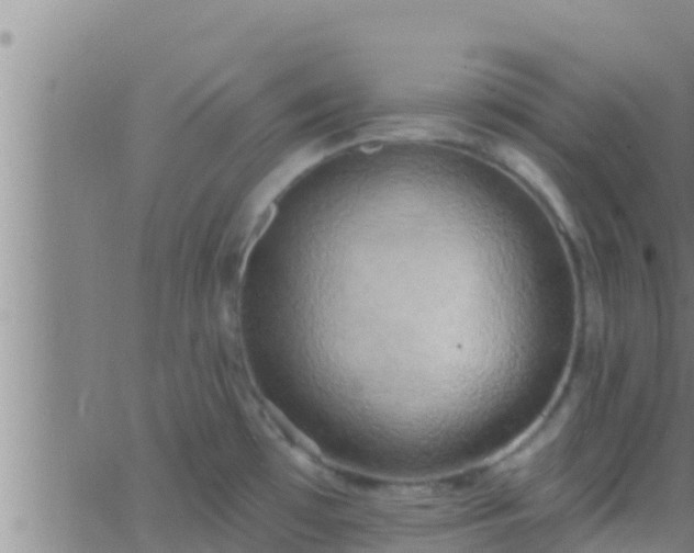 X0000063531481200601271848