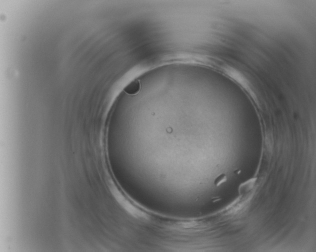 X0000063531482200601271848