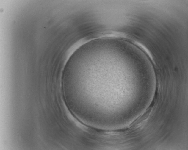 X0000063531483200601271848