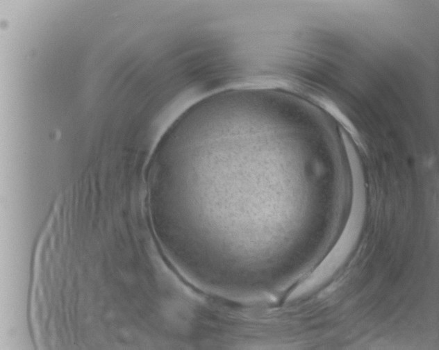 X0000063531484200601271848