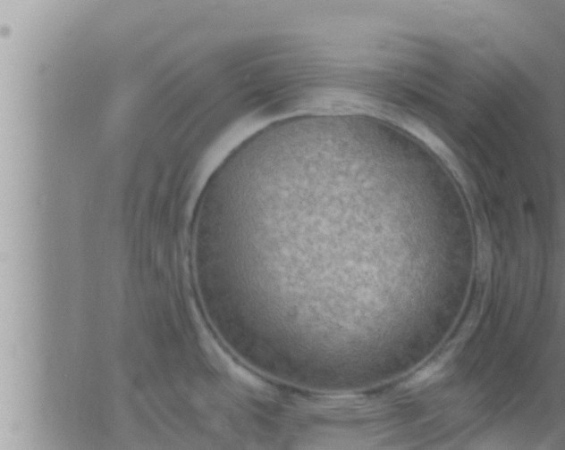 X0000063531486200601271848