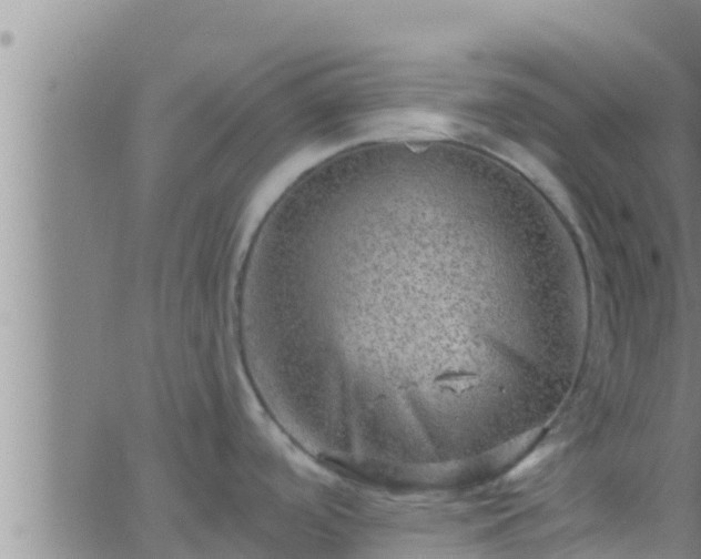 X0000063531488200601271848