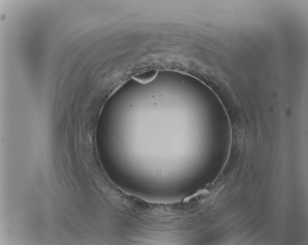 X0000063531489200601271848