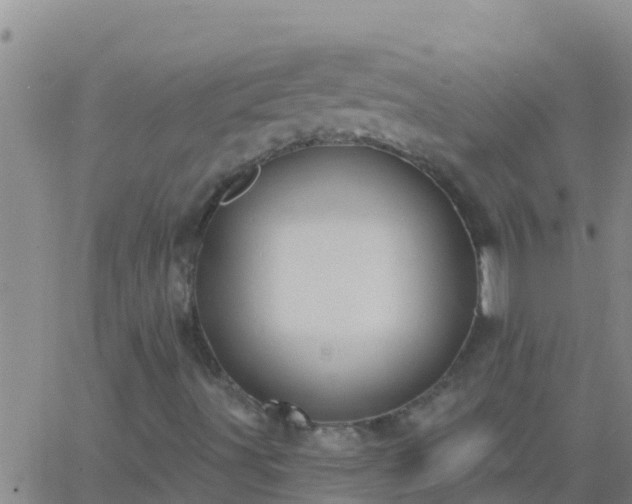 X0000063531491200601271848