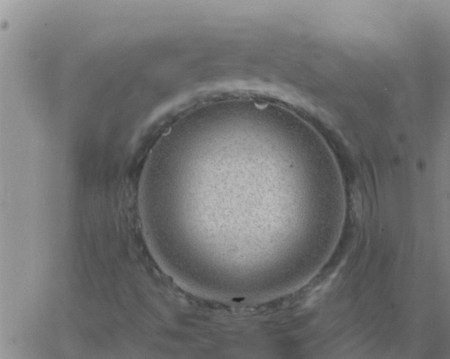 X0000063531494200601271848