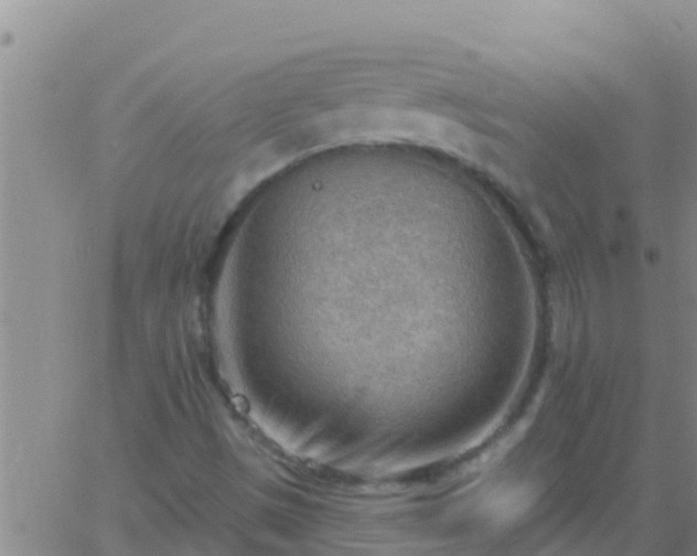 X0000063531497200601271848