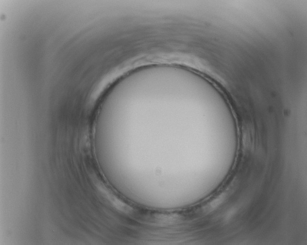 X0000063531498200601271848