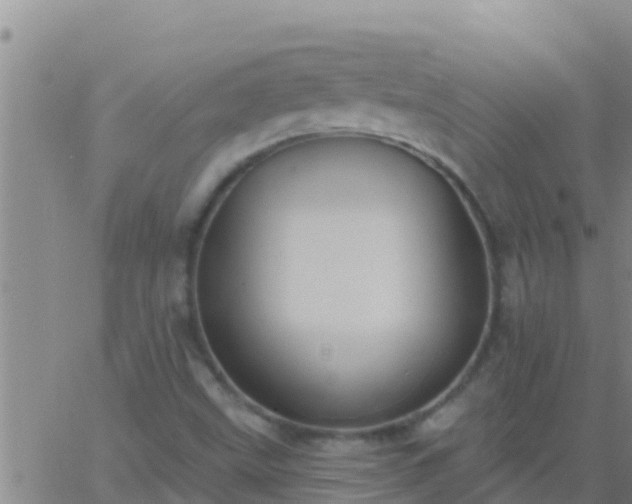 X0000063531499200601271848