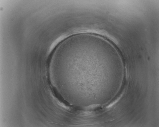 X0000063531501200601271848