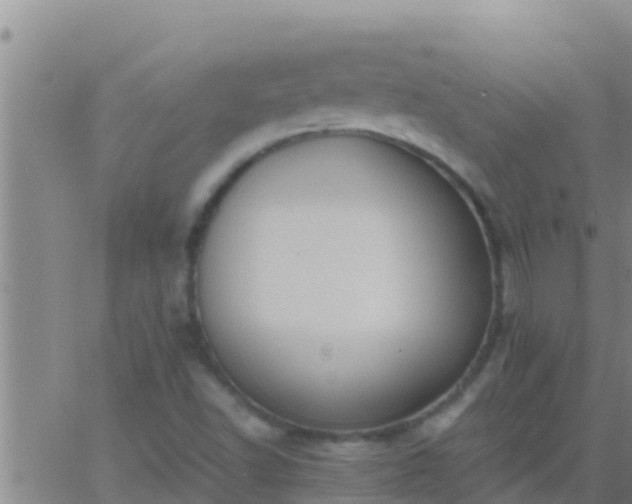 X0000063531502200601271848