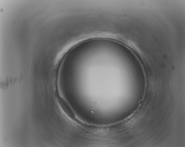 X0000063531504200601271848