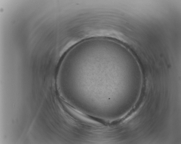 X0000063531505200601271848