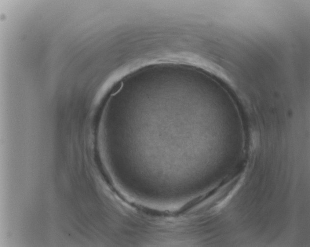 X0000063531506200601271848