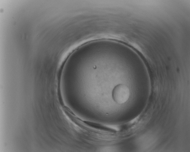 X0000063531508200601271848