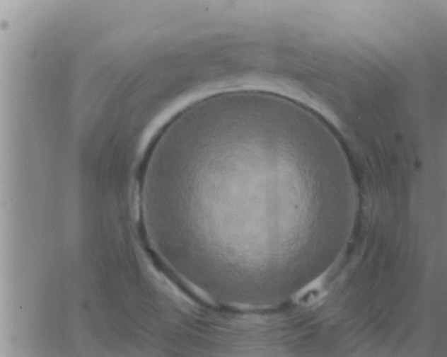 X0000063531510200601271848