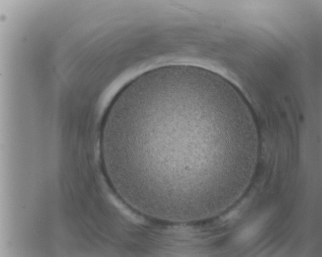 X0000063531511200601271848