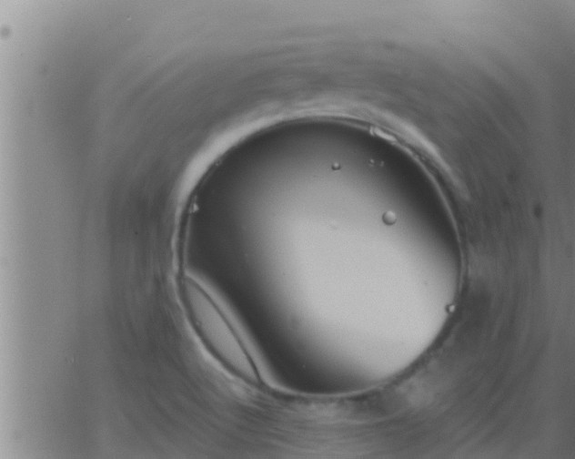 X0000063531512200601271848