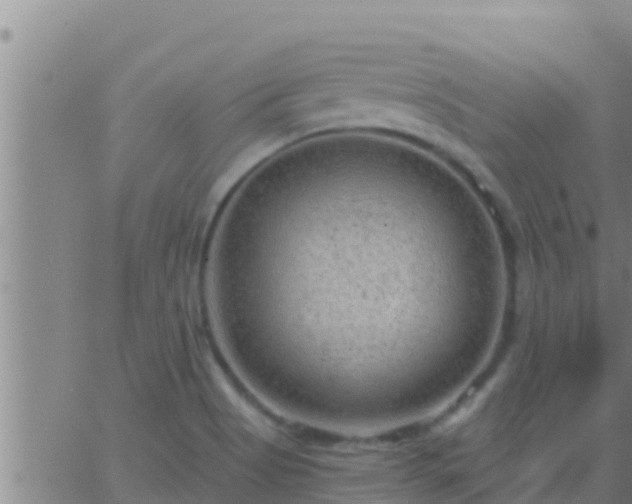 X0000063531513200601271848