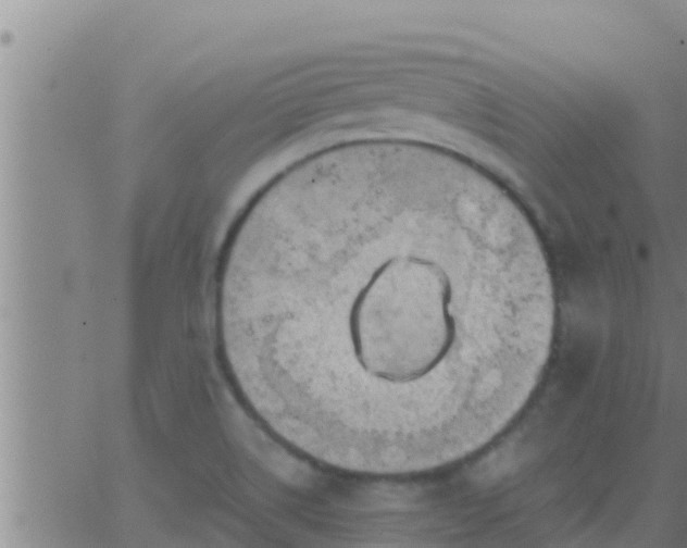 X0000063531514200601271848