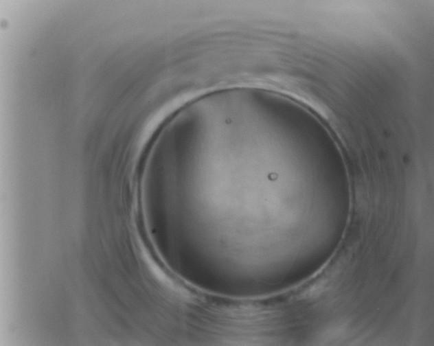 X0000063531515200601271848