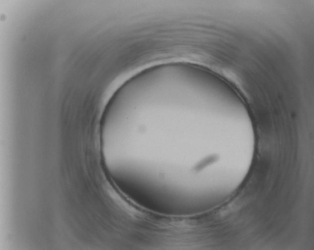 X0000063531516200601271848