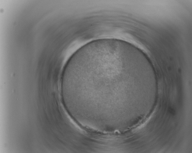 X0000063531517200601271848