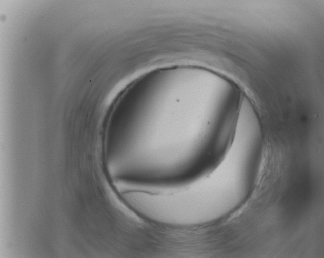 X0000063531518200601271848