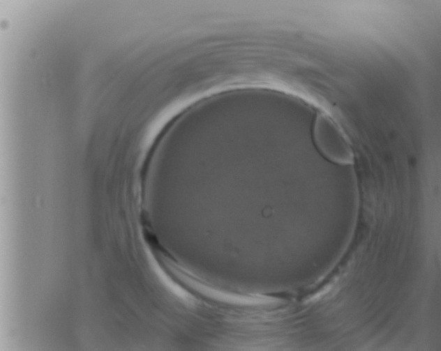 X0000063531519200601271848