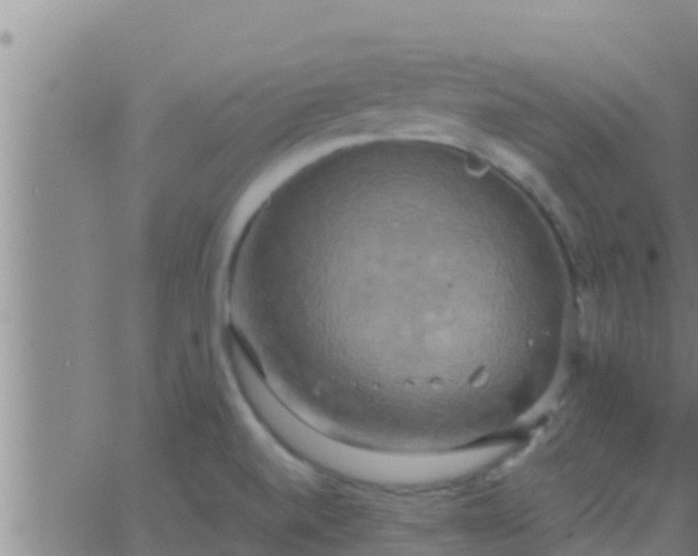 X0000063531520200601271848